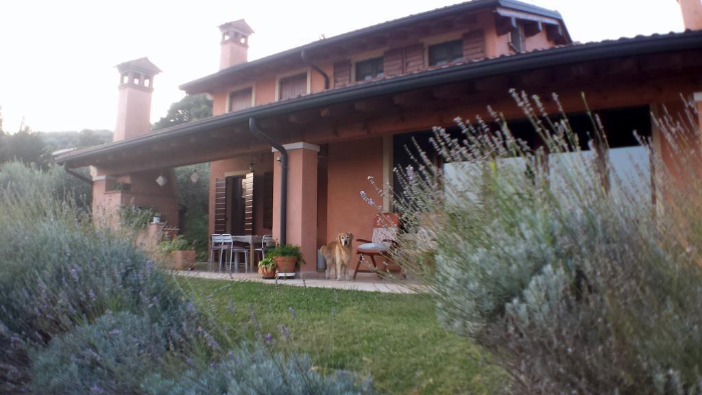 مبيت وإفطار Mezzane di Sotto Olivella المظهر الخارجي الصورة